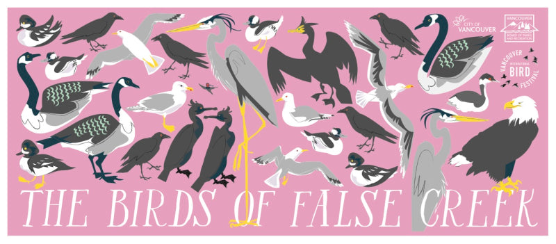 The Birds of False Creek