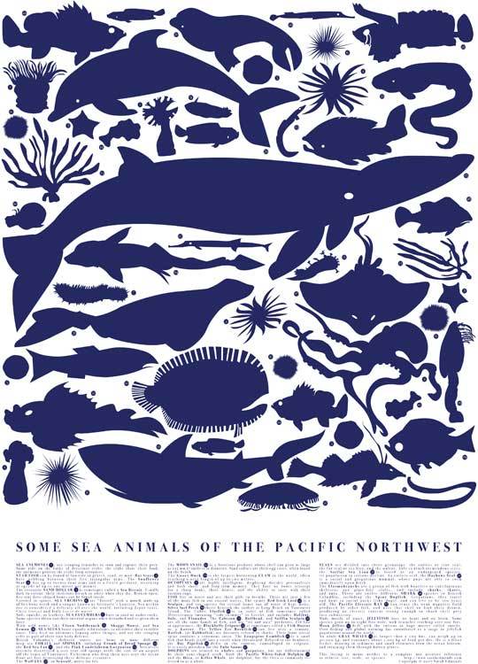 some sea animals of the pacific northwest