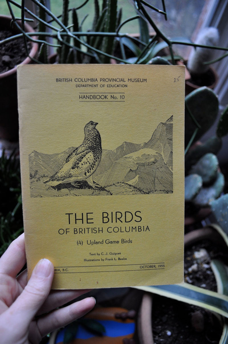 the birds of british columbia