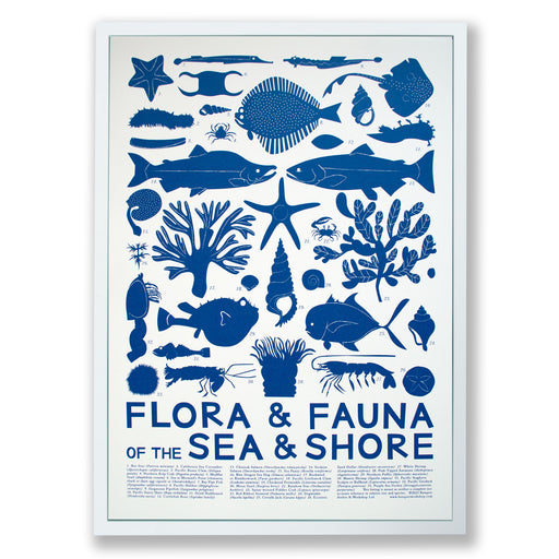 sea shore themed poster in blue on white 