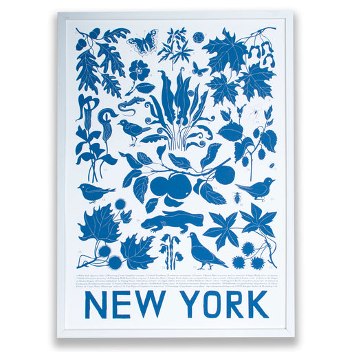 flora and fauna of new york state/new york poster/screen print